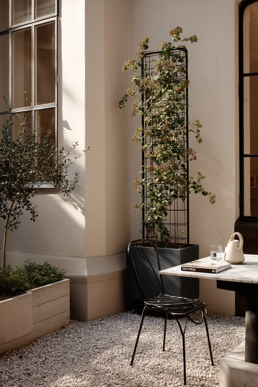 Modern Metal Trellis for a Clean Courtyard