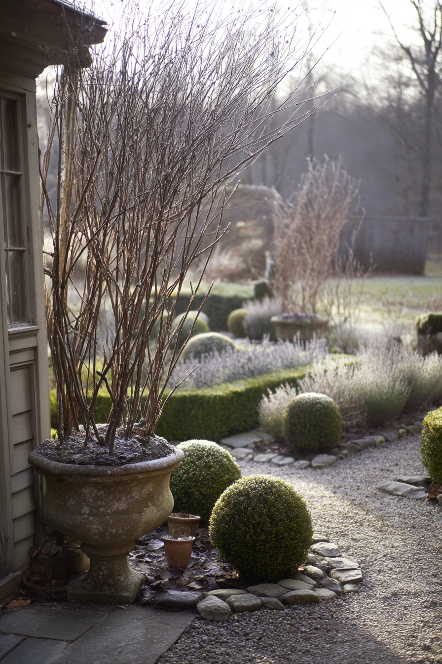 Late-Winter Parterre with Structure